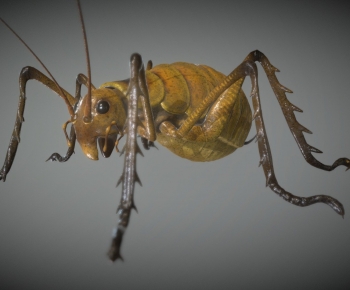 Modern Animal-ID:115832095