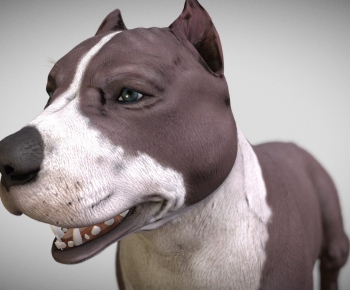 Modern Animal Dog-ID:711318972