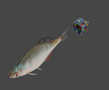 Modern Aquatic Animals-ID:272100014