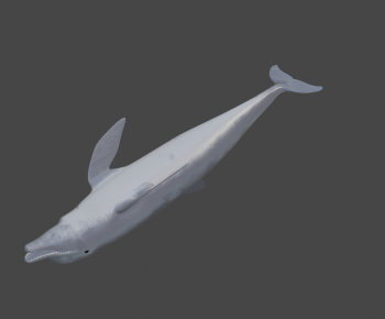 Modern Aquatic Animals-ID:779136905