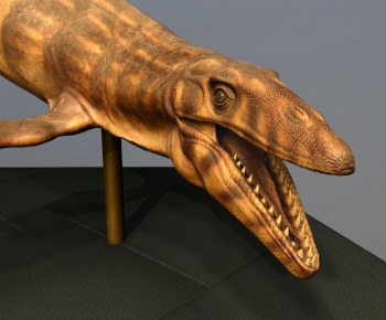 Modern Animal-ID:385029374