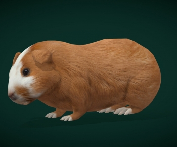 Modern Animal-ID:780092003