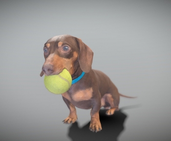 Modern Animal Dog-ID:560898076