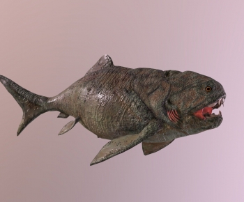 Modern Aquatic Animals-ID:485997927