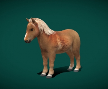 Modern Animal Horse-ID:985258108