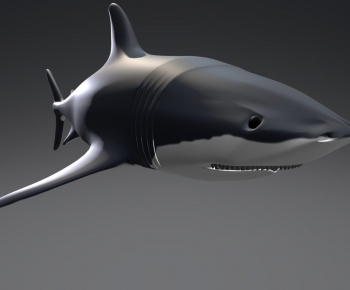 Modern Aquatic Animals-ID:877132894