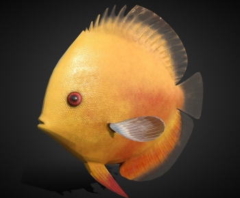 Modern Aquatic Animals-ID:568811893