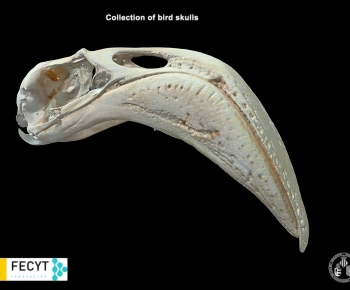 Modern Medical Equipment-ID:749649058