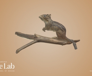 Modern Animal-ID:477850912