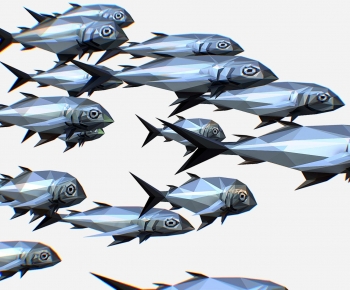 Modern Aquatic Animals-ID:573579079