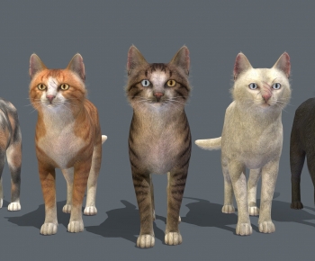 Modern Mammal-ID:808336973