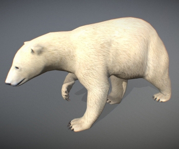 Modern Mammal-ID:733447079