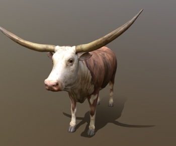 Modern Mammal-ID:855530024