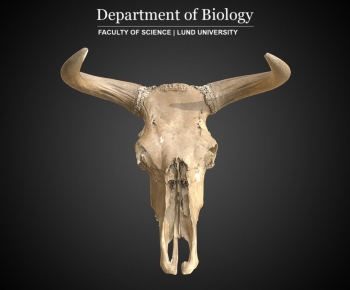 Modern Medical Equipment-ID:283540965