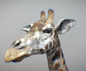 Modern Animal-ID:329946045