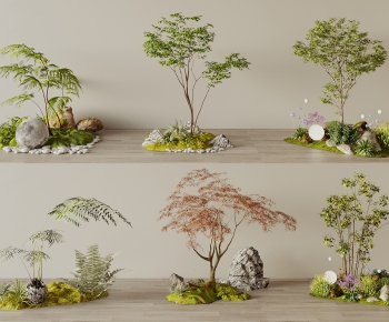 Modern Plant Landscaping-ID:594506985