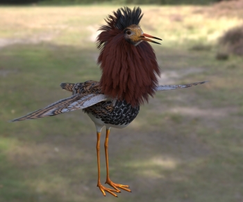 Modern Flying Animals-ID:936713934