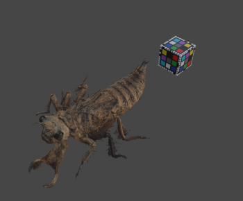 Modern Animal-ID:119524963
