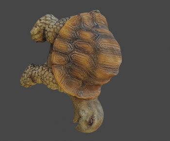 Modern Animal-ID:958159923