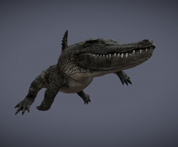 Modern Reptile-ID:530945063