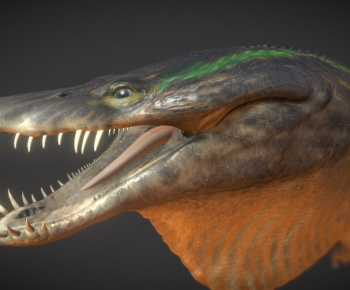 Modern Aquatic Animals-ID:124747991