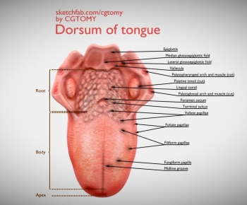 Modern Medical Equipment-ID:868365053