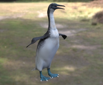 Modern Poultry Animal-ID:851875074