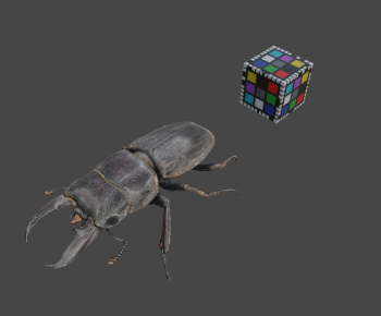 Modern Animal-ID:652957926