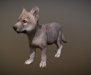 Modern Mammal-ID:925796031