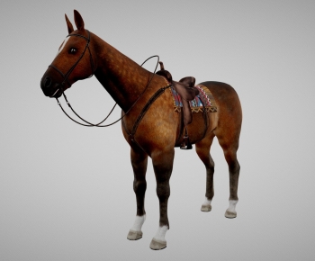 Modern Mammal-ID:778573994