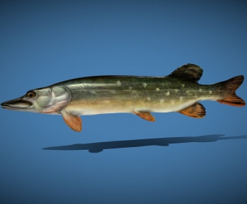 Modern Aquatic Product-ID:810959377