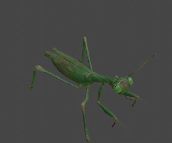 Modern Other Animals-ID:506949901