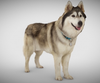 Modern Animal Dog-ID:451450116