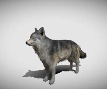 Modern Mammal-ID:262895116