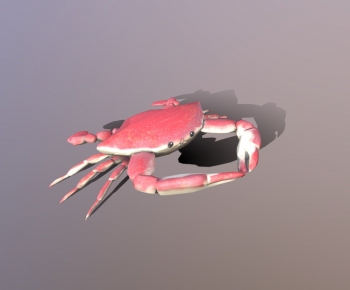 Modern Aquatic Animals-ID:998578077