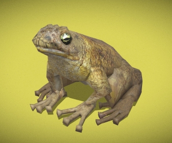 Modern Reptile-ID:702240943