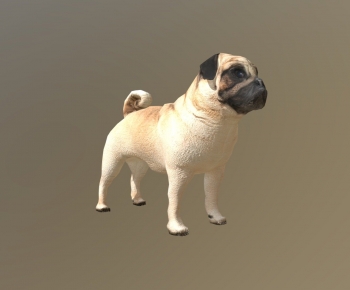 Modern Animal Dog-ID:321875108