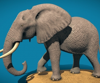Modern Mammal-ID:844485044
