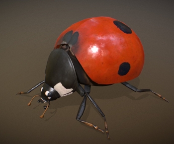 Modern Animal-ID:501595973