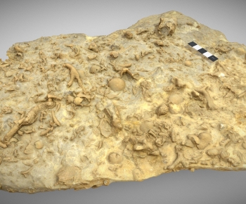 Modern Medical Equipment-ID:102129071