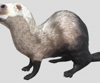 Modern Animal-ID:477895988
