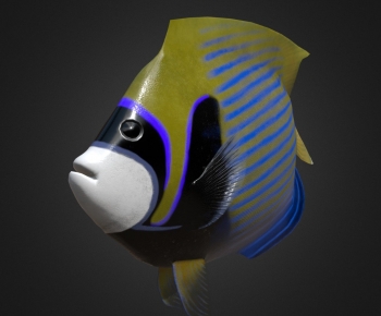 Modern Aquatic Animals-ID:534403093