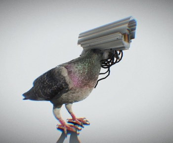 Modern Animal-ID:576881894