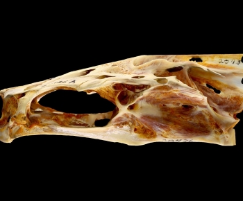 Modern Medical Equipment-ID:384771116