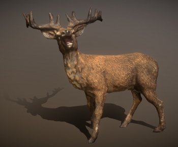Modern Mammal-ID:340370894