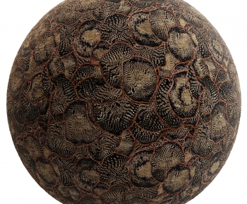 Modern Clothes, Bags And Shoes-ID:618956094