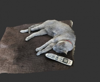 Modern Mammal-ID:380330094