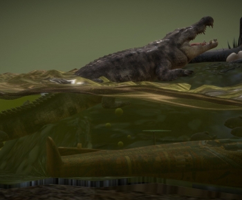 Modern Animal-ID:351911079