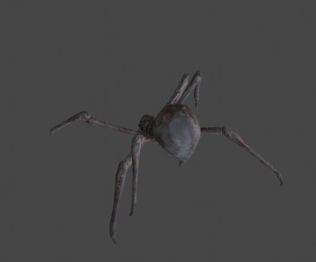 Modern Animal-ID:843384031