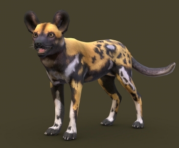 Modern Mammal-ID:220326903